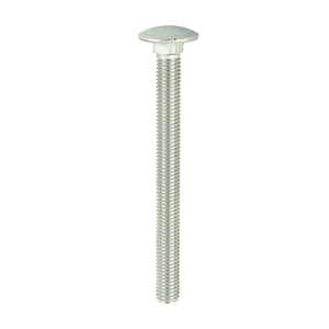 Carriage Bolts DIN603 A2 Stainless Steel - M10 x 110 Image