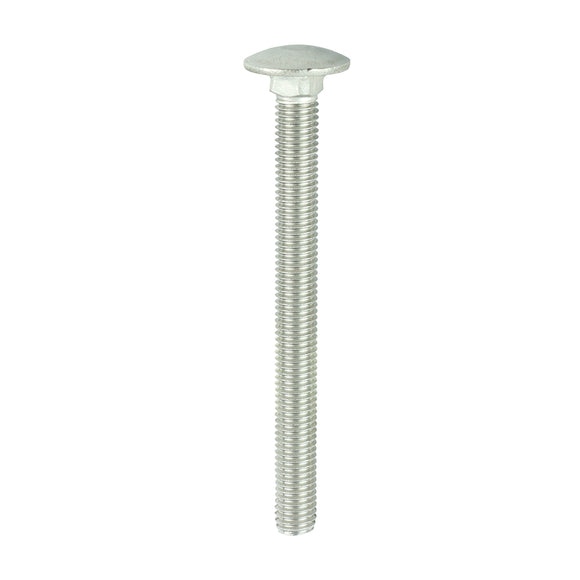 Carriage Bolts DIN603 A2 Stainless Steel - M10 x 110 Image