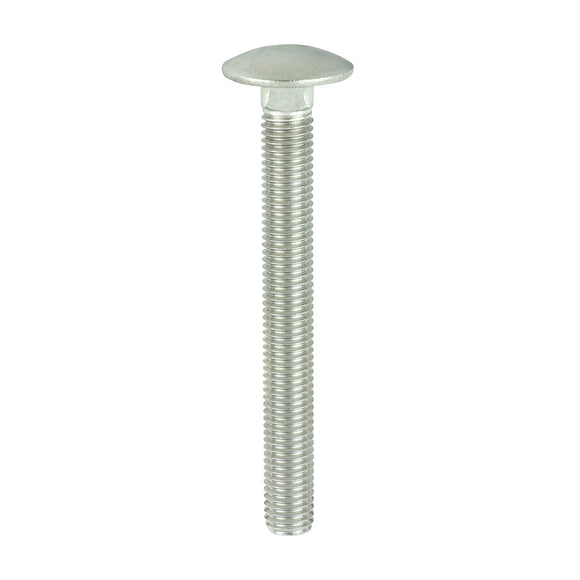 Carriage Bolts DIN603 A2 Stainless Steel - M12 x 110 Image