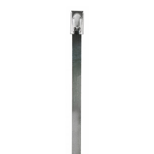 Cable Ties A2 Stainless Steel - 4.6 x 350 Image