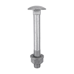 Carriage Bolts DIN603, Hex Full Nuts DIN934 & Form A DIN125-A Washer Exterior Silver - M12 x 100 Image
