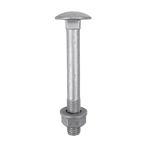 Carriage Bolts DIN603, Hex Full Nuts DIN934 & Form A DIN125-A Washer Exterior Silver - M12 x 100 Image