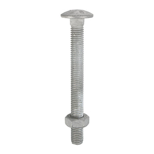 Carriage Bolts DIN603 & Hex Full Nuts DIN934 Hot Dipped Galvanised - M8 x 50 Image