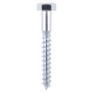 Coach Screws Hex Head Silver  - 6.0 x 80 Image