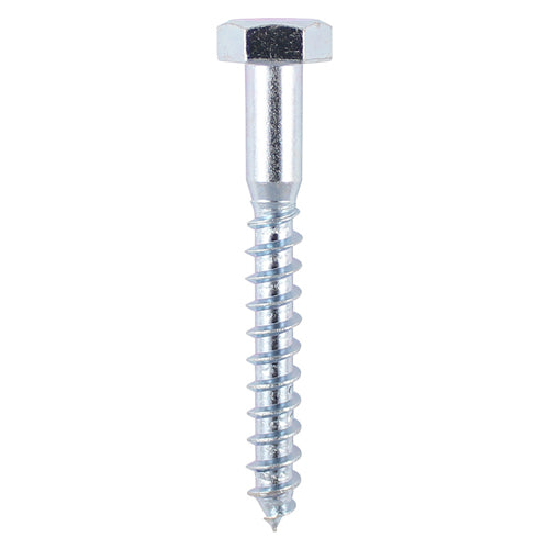 Coach Screws Hex Head Silver  - 6.0 x 80 Image