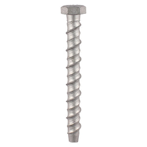 Multi-Fix Bolts Hex Head Exterior Silver - 8.0 x 60 Image