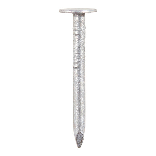 Clout Nail Galvanised - 30 x 2.65 Image