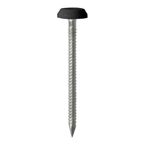 Polymer Headed Nails A4 Stainless Steel Black - 65mm Image
