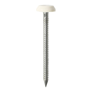 Polymer Headed Nails A4 Stainless Steel White - 40mm Image