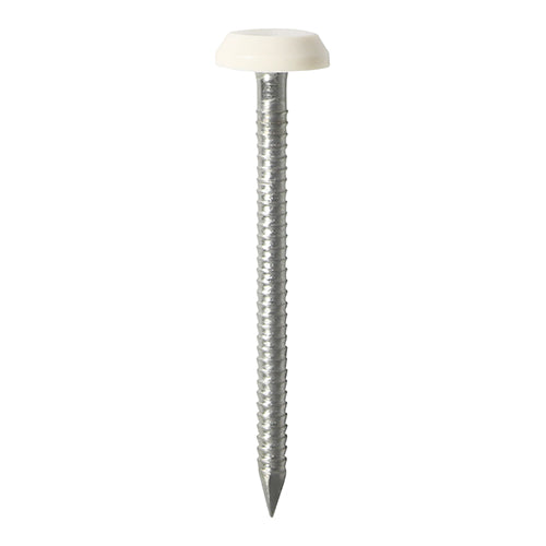 Polymer Headed Nails A4 Stainless Steel White - 40mm Image