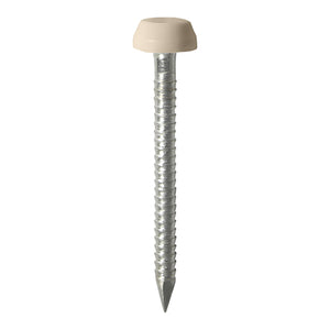 Polymer Headed Pins A4 Stainless Steel Beige - 25mm Image
