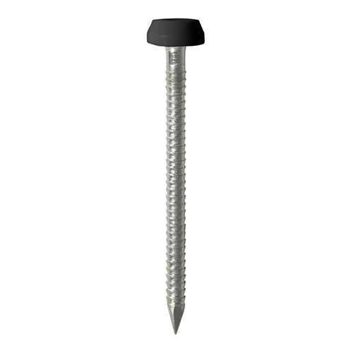 Polymer Headed Pins A4 Stainless Steel Black - 40mm Image
