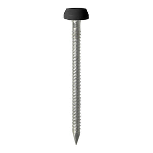 Polymer Headed Pins A4 Stainless Steel Black - 40mm Image