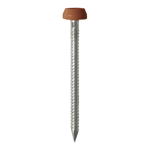 Polymer Headed Pin A4 Stainless Steel Clay Brown - 40mm Image
