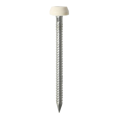Polymer Headed Pin A4 Stainless Steel Cream - 40mm Image