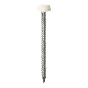 Polymer Headed Pins A4 Stainless Steel White - 30mm Image
