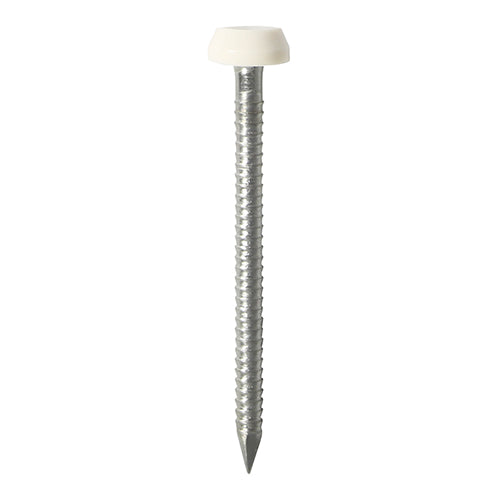 Polymer Headed Pins A4 Stainless Steel White - 40mm Image