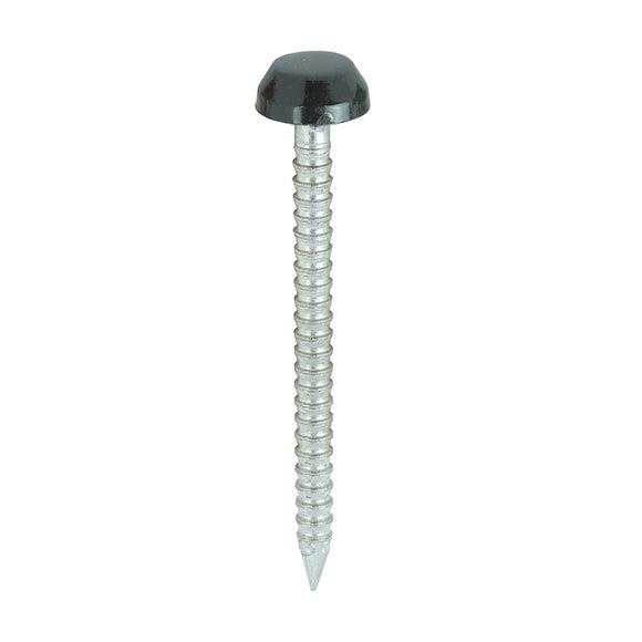 Polymer Headed Pins A4 Stainless Steel Black - 30mm Image