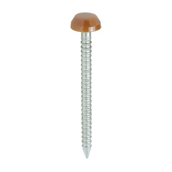 Polymer Headed Pins A4 Stainless Steel Clay Brown - 30mm Image