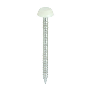 Polymer Headed Pins A4 Stainless Steel Cream - 30mm Image