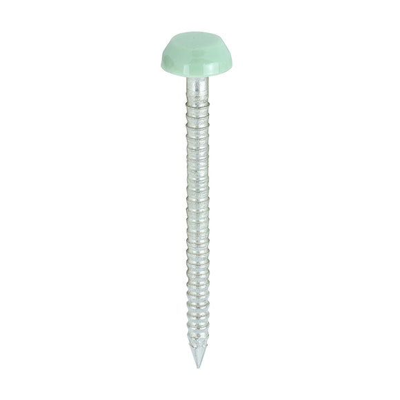 Polymer Headed Pins A4 Stainless Steel Chartwell Green - 30mm Image
