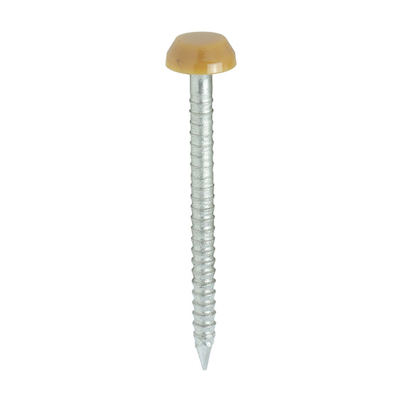 Polymer Headed Pins A4 Stainless Steel Oak - 30mm Image