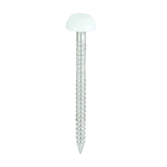 Polymer Headed Pins A4 Stainless Steel White - 30mm Image