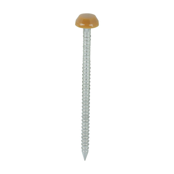 Polymer Headed Pins A4 Stainless Steel Oak - 40mm Image