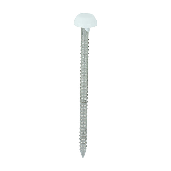 Polymer Headed Pins A4 Stainless Steel White - 40mm Image