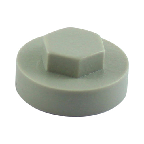 Hex Head Cover Caps Goosewing Grey - 19mm Image