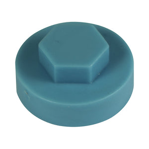 Hex Head Cover Caps Wedgewood Blue - 19mm Image