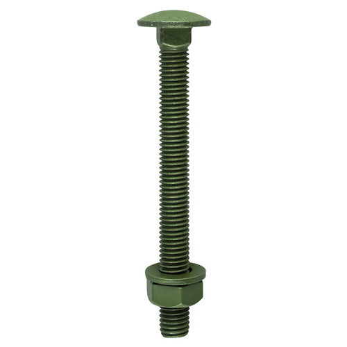 Carriage Bolts DIN603 Hex Nuts & Form A Washers Green Exterior - M10 x 220 Image