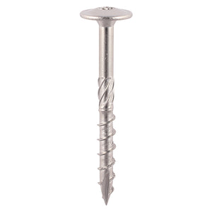 Wafer Head A2 Stainless Steel Timber Screws  - 8.0 x 100 Image