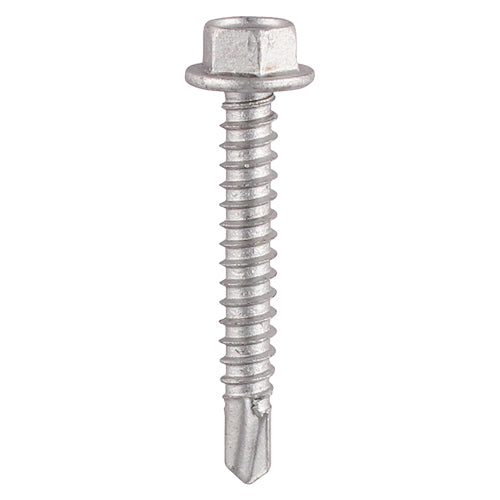 Self-Drilling Light Section A2 Stainless Steel Bi-Metal Screws - 5.5 x 25 Image